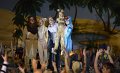 Lionking 0049